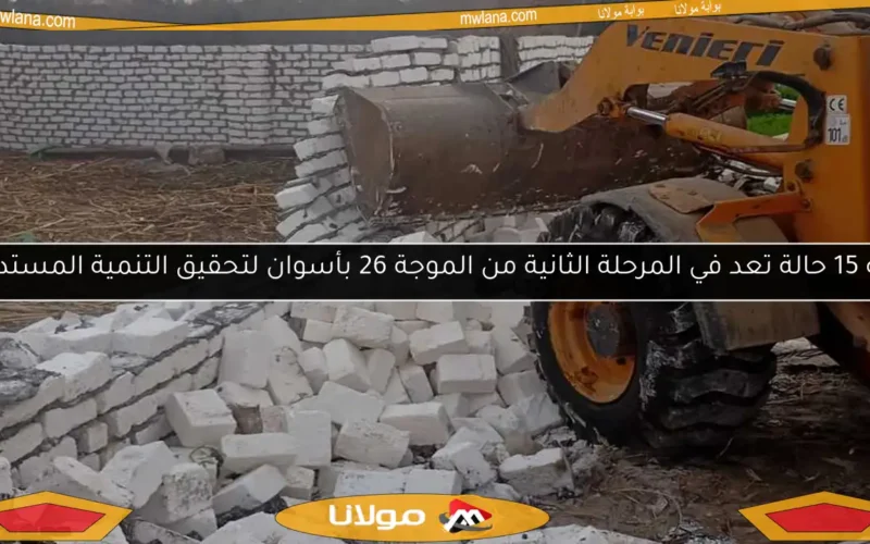 إزالة 15 حالة تعد في المرحلة الثانية من الموجة 26 بأسوان لتحقيق التنمية المستدامة