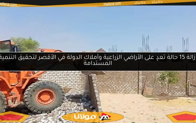 إزالة 15 حالة تعدٍ على الأراضي الزراعية وأملاك الدولة في الأقصر لتحقيق التنمية المستدامة