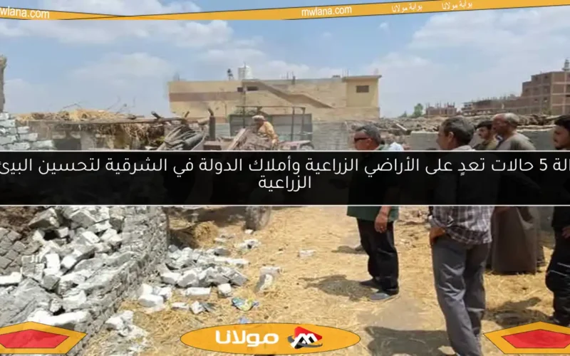 إزالة 5 حالات تعدٍ على الأراضي الزراعية وأملاك الدولة في الشرقية لتحسين البيئة الزراعية