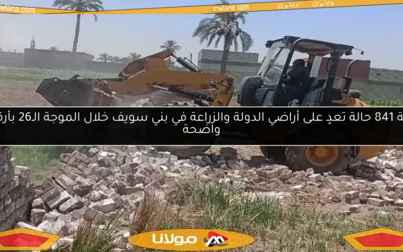 إزالة 841 حالة تعدٍ على أراضي الدولة والزراعة في بني سويف خلال الموجة الـ26 بأرقام واضحة