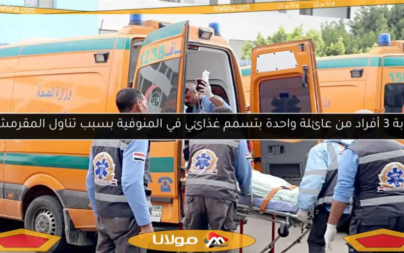 إصابة 3 أفراد من عائلة واحدة بتسمم غذائي في المنوفية بسبب تناول المقرمشات