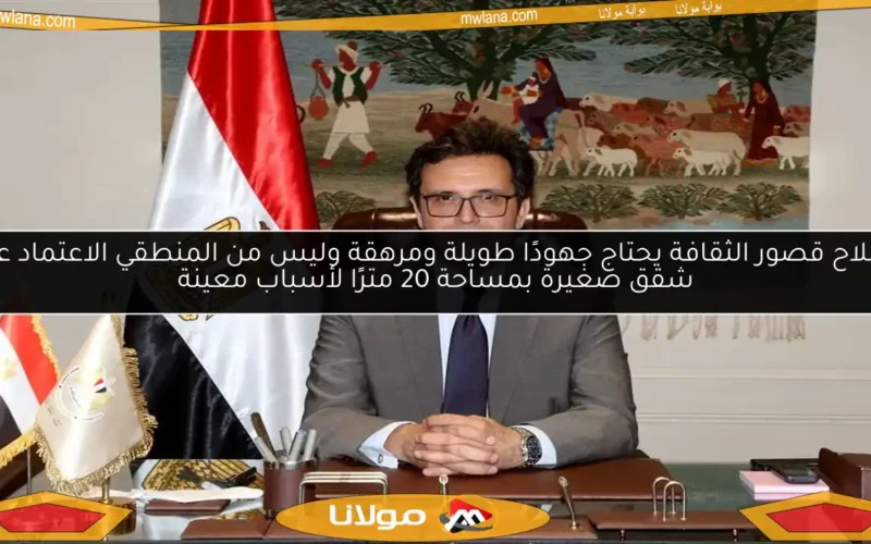 إصلاح قصور الثقافة يحتاج جهودًا طويلة ومرهقة وليس من المنطقي الاعتماد على شقق صغيرة بمساحة 20 مترًا لأسباب معينة