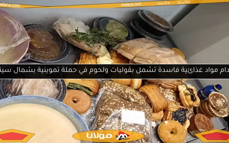 إعدام مواد غذائية فاسدة تشمل بقوليات ولحوم في حملة تموينية بشمال سيناء