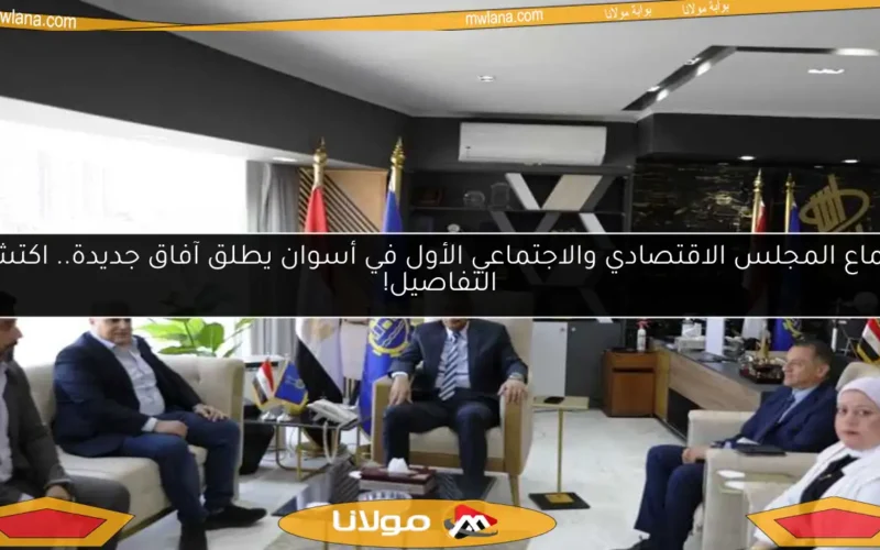 اجتماع المجلس الاقتصادي والاجتماعي الأول في أسوان يطلق آفاق جديدة.. اكتشف التفاصيل!