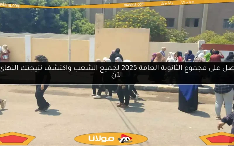 احصل على مجموع الثانوية العامة 2025 لجميع الشعب واكتشف نتيجتك النهائية الآن