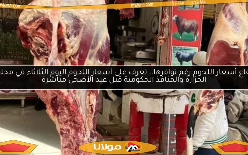 ارتفاع أسعار اللحوم رغم توافرها.. تعرف على أسعار اللحوم اليوم الثلاثاء في محلات الجزارة والمنافذ الحكومية قبل عيد الأضحى مباشرة