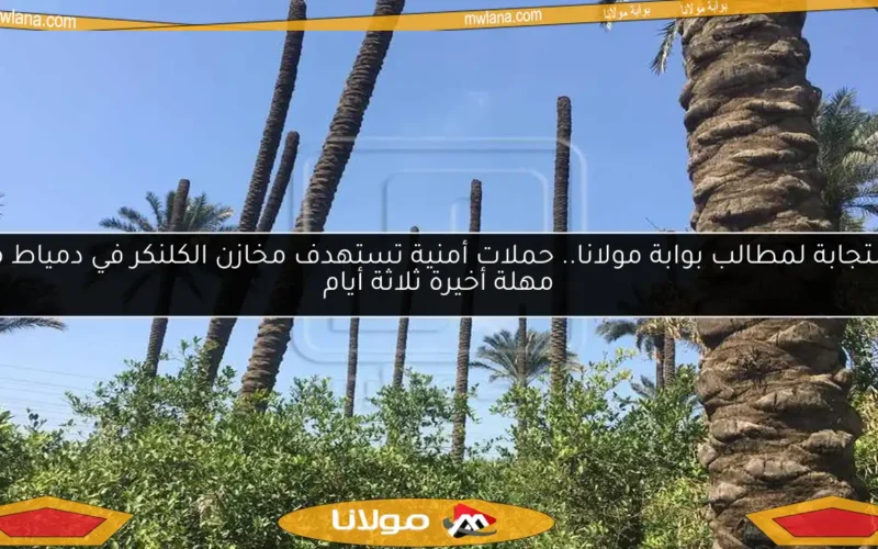 استجابة لمطالب بوابة مولانا.. حملات أمنية تستهدف مخازن الكلنكر في دمياط مع مهلة أخيرة ثلاثة أيام