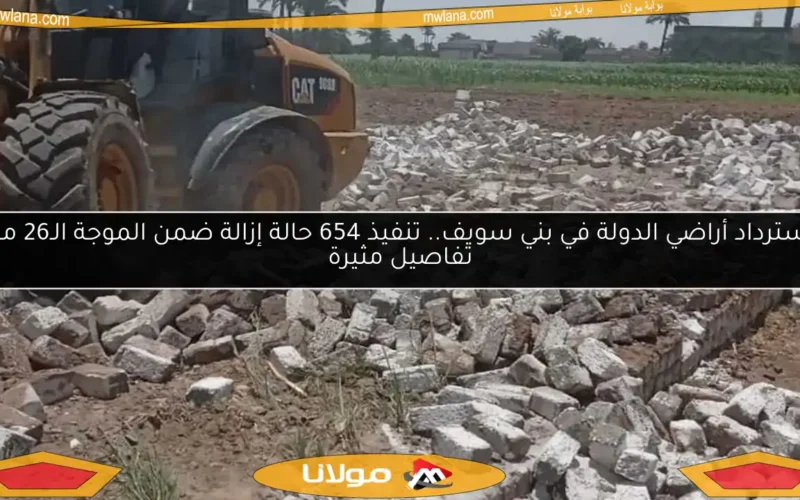 استرداد أراضي الدولة في بني سويف.. تنفيذ 654 حالة إزالة ضمن الموجة الـ26 مع تفاصيل مثيرة