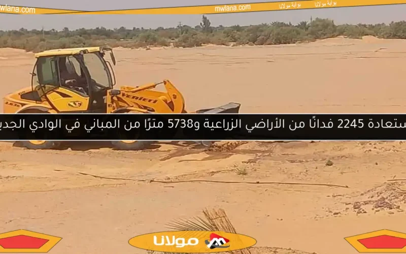 استعادة 2245 فدانًا من الأراضي الزراعية و5738 مترًا من المباني في الوادي الجديد