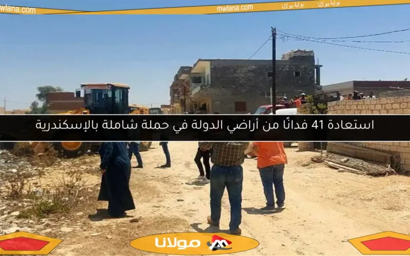 استعادة 41 فدانًا من أراضي الدولة في حملة شاملة بالإسكندرية