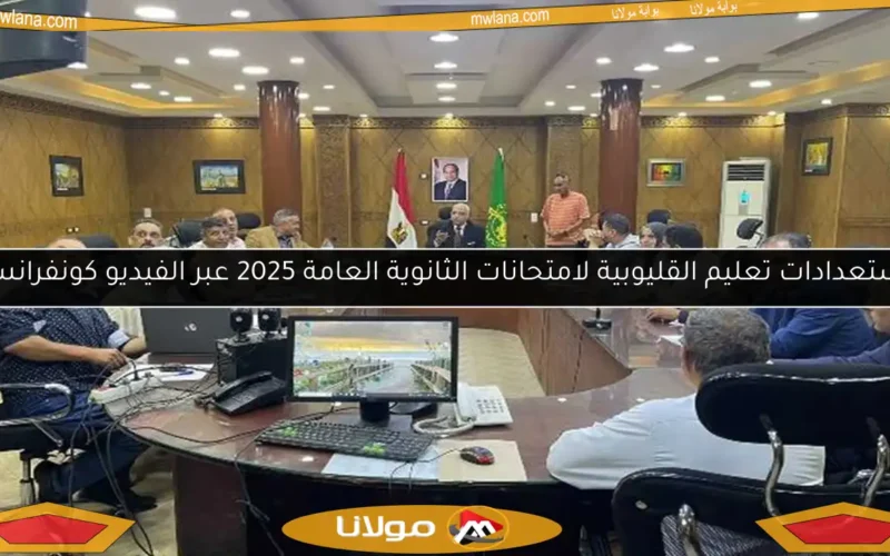 استعدادات تعليم القليوبية لامتحانات الثانوية العامة 2025 عبر الفيديو كونفرانس