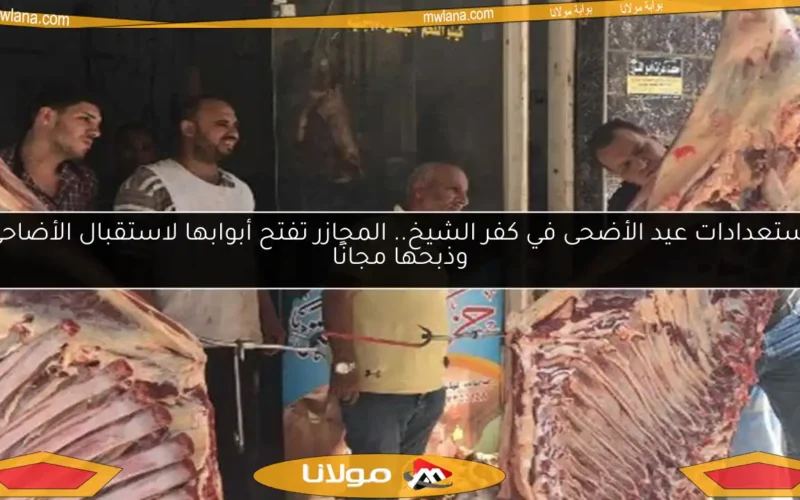 استعدادات عيد الأضحى في كفر الشيخ.. المجازر تفتح أبوابها لاستقبال الأضاحي وذبحها مجانًا