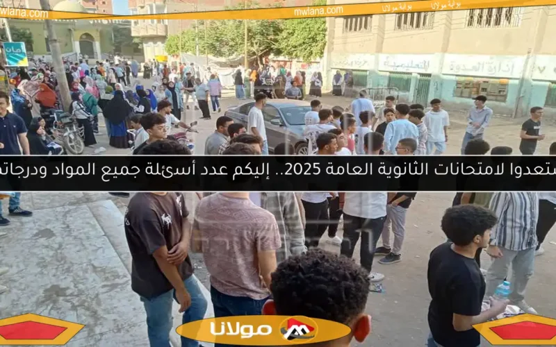 استعدوا لامتحانات الثانوية العامة 2025.. إليكم عدد أسئلة جميع المواد ودرجاتها!