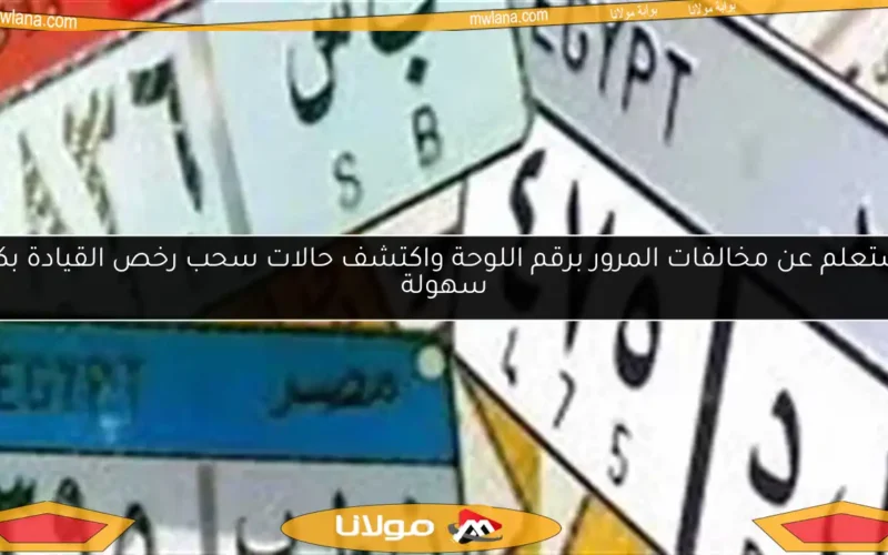 استعلم عن مخالفات المرور برقم اللوحة واكتشف حالات سحب رخص القيادة بكل سهولة
