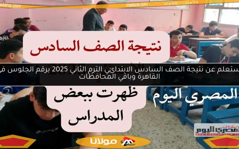 استعلم عن نتيجة الصف السادس الابتدائي الترم الثاني 2025 برقم الجلوس في القاهرة وباقي المحافظات