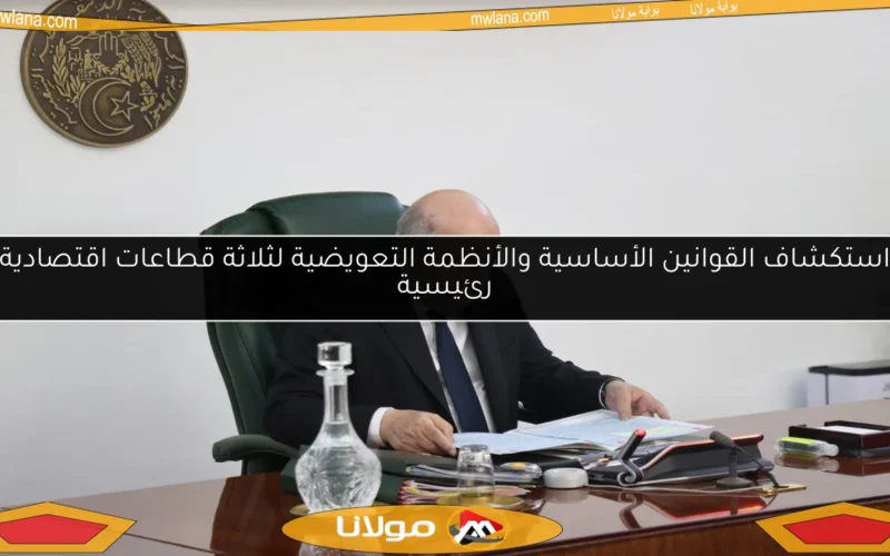 استكشاف القوانين الأساسية والأنظمة التعويضية لثلاثة قطاعات اقتصادية رئيسية