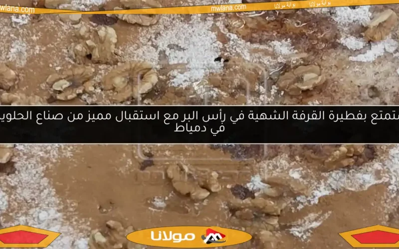 استمتع بفطيرة القرفة الشهية في رأس البر مع استقبال مميز من صناع الحلويات في دمياط