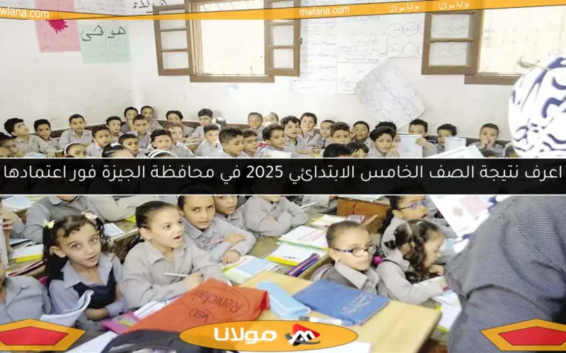 اعرف نتيجة الصف الخامس الابتدائي 2025 في محافظة الجيزة فور اعتمادها