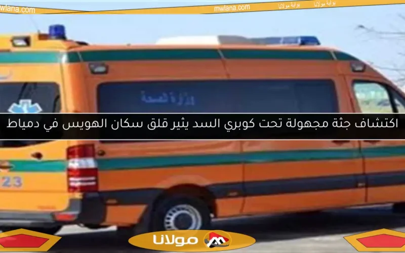 اكتشاف جثة مجهولة تحت كوبري السد يثير قلق سكان الهويس في دمياط