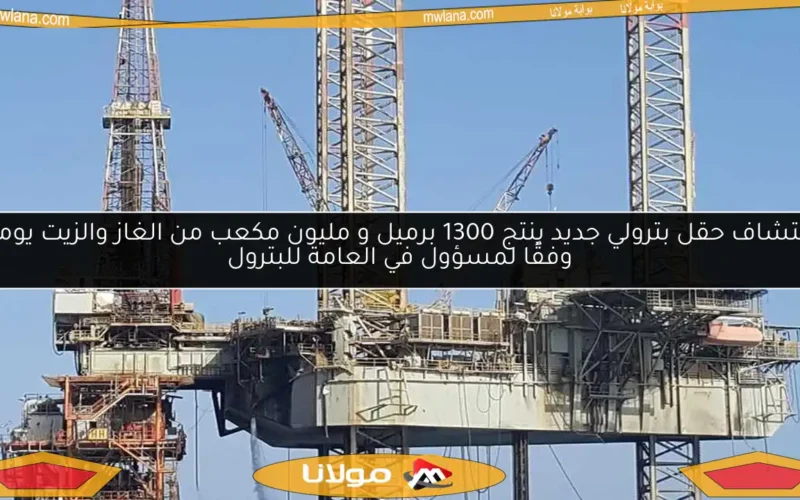 اكتشاف حقل بترولي جديد ينتج 1300 برميل و مليون مكعب من الغاز والزيت يوميًا وفقًا لمسؤول في العامة للبترول