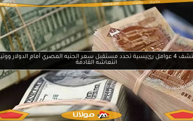 اكتشف 4 عوامل رئيسية تحدد مستقبل سعر الجنيه المصري أمام الدولار ووتيرة انتعاشه القادمة