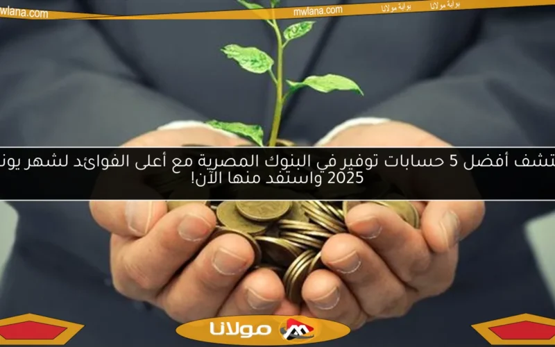 اكتشف أفضل 5 حسابات توفير في البنوك المصرية مع أعلى الفوائد لشهر يونيو 2025 واستفد منها الآن!