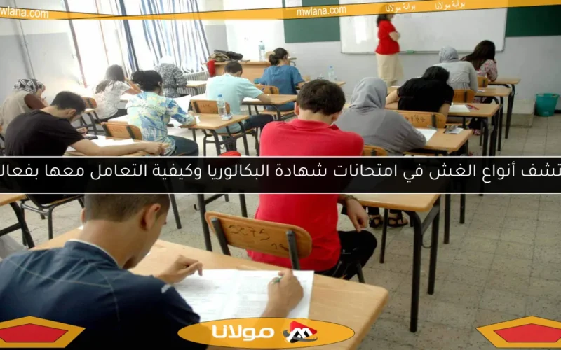 اكتشف أنواع الغش في امتحانات شهادة البكالوريا وكيفية التعامل معها بفعالية