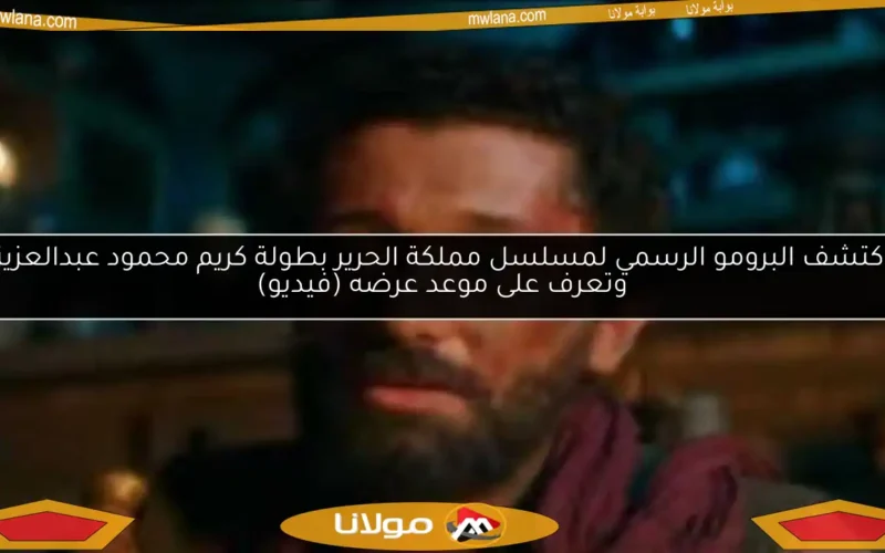 اكتشف البرومو الرسمي لمسلسل مملكة الحرير بطولة كريم محمود عبدالعزيز وتعرف على موعد عرضه (فيديو)