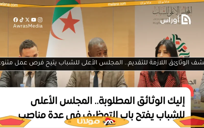اكتشف الوثائق اللازمة للتقديم.. المجلس الأعلى للشباب يتيح فرص عمل متنوعة!