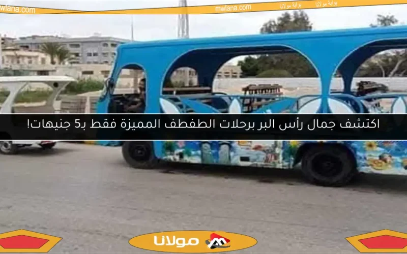 اكتشف جمال رأس البر برحلات الطفطف المميزة فقط بـ5 جنيهات!