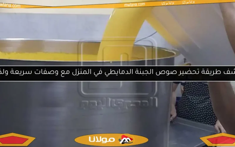 اكتشف طريقة تحضير صوص الجبنة الدمايطي في المنزل مع وصفات سريعة ولذيذة