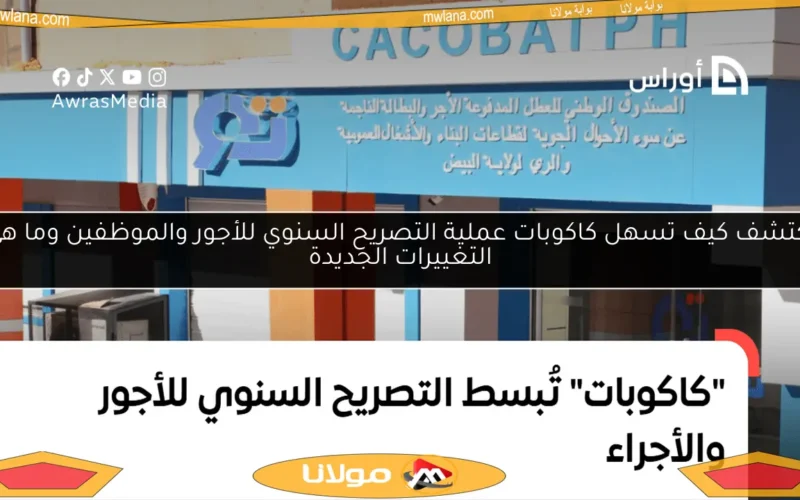 اكتشف كيف تسهل كاكوبات عملية التصريح السنوي للأجور والموظفين وما هي التغييرات الجديدة