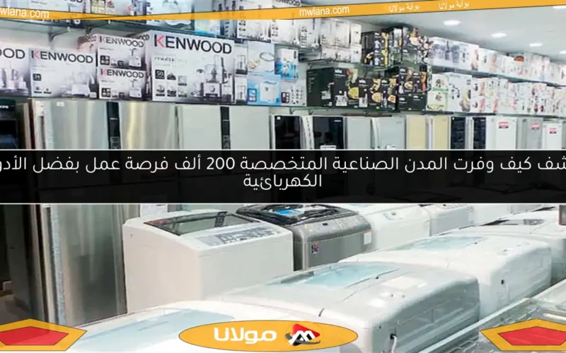 اكتشف كيف وفرت المدن الصناعية المتخصصة 200 ألف فرصة عمل بفضل الأدوات الكهربائية