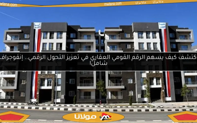 اكتشف كيف يسهم الرقم القومي العقاري في تعزيز التحول الرقمي.. إنفوجراف شامل!
