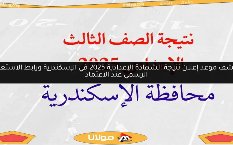 اكتشف موعد إعلان نتيجة الشهادة الإعدادية 2025 في الإسكندرية ورابط الاستعلام الرسمي عند الاعتماد