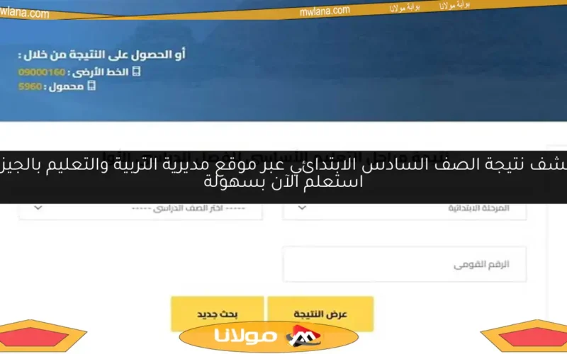اكتشف نتيجة الصف السادس الابتدائي عبر موقع مديرية التربية والتعليم بالجيزة.. استعلم الآن بسهولة
