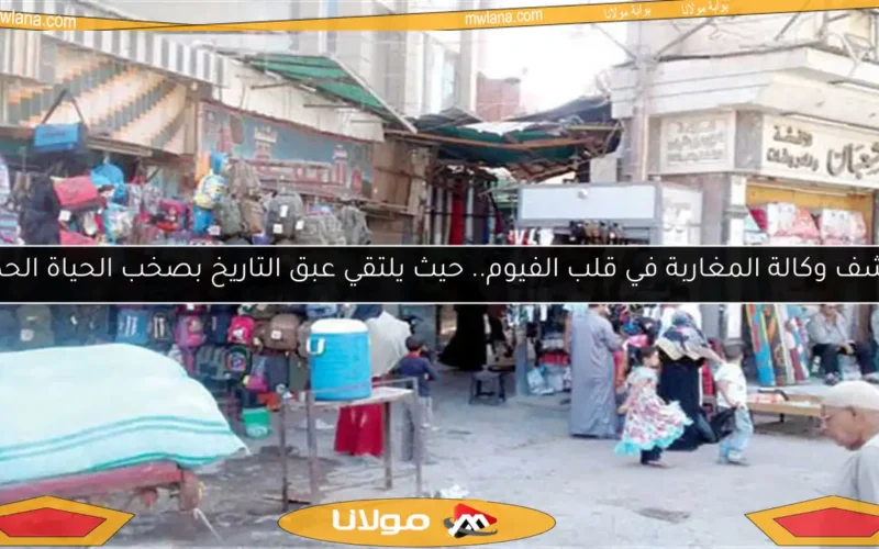 اكتشف وكالة المغاربة في قلب الفيوم.. حيث يلتقي عبق التاريخ بصخب الحياة الحديثة