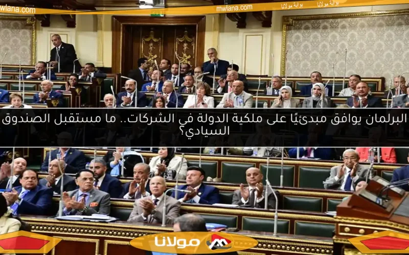 البرلمان يوافق مبدئيًا على ملكية الدولة في الشركات.. ما مستقبل الصندوق السيادي؟