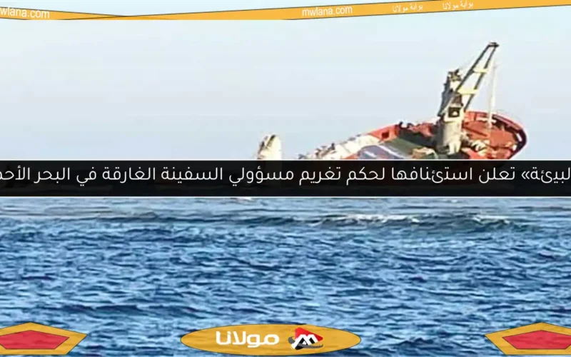 «البيئة» تعلن استئنافها لحكم تغريم مسؤولي السفينة الغارقة في البحر الأحمر