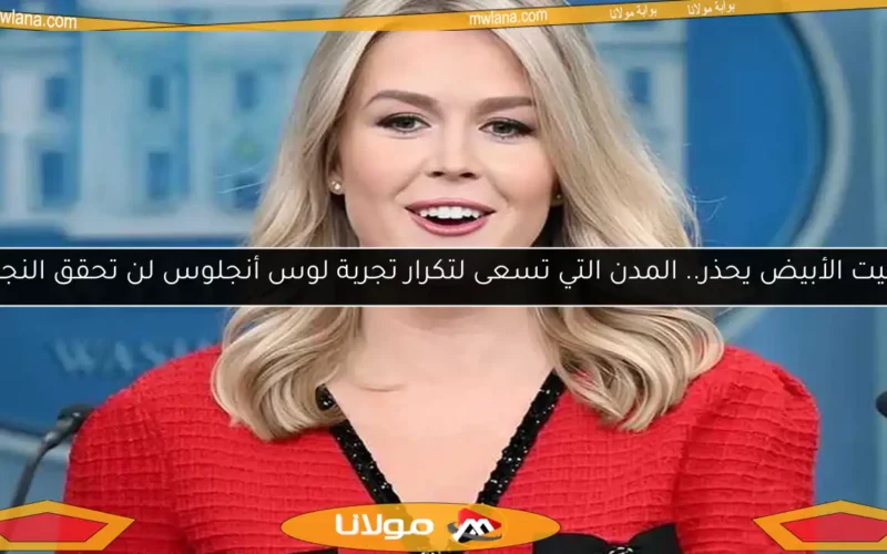البيت الأبيض يحذر.. المدن التي تسعى لتكرار تجربة لوس أنجلوس لن تحقق النجاح
