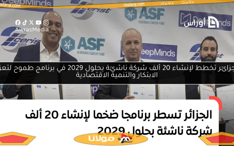 الجزائر تخطط لإنشاء 20 ألف شركة ناشئة بحلول 2029 في برنامج طموح لتعزيز الابتكار والتنمية الاقتصادية