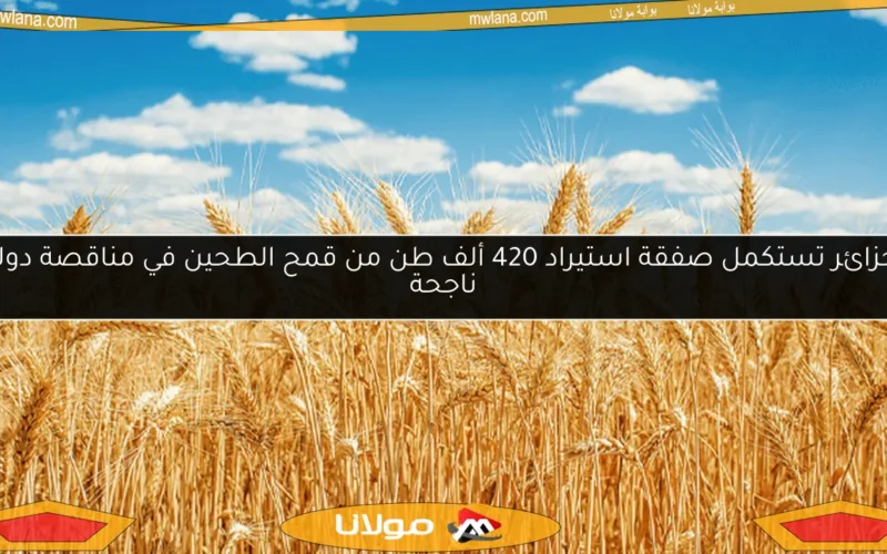 الجزائر تستكمل صفقة استيراد 420 ألف طن من قمح الطحين في مناقصة دولية ناجحة
