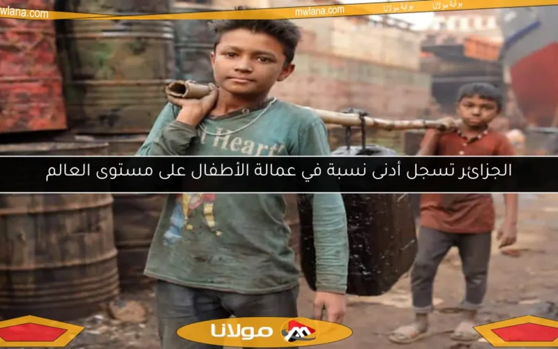 الجزائر تسجل أدنى نسبة في عمالة الأطفال على مستوى العالم