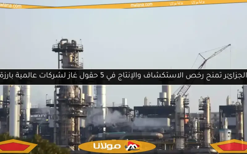 الجزائر تمنح رخص الاستكشاف والإنتاج في 5 حقول غاز لشركات عالمية بارزة