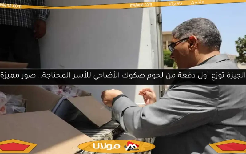 الجيزة توزع أول دفعة من لحوم صكوك الأضاحي للأسر المحتاجة.. صور مميزة
