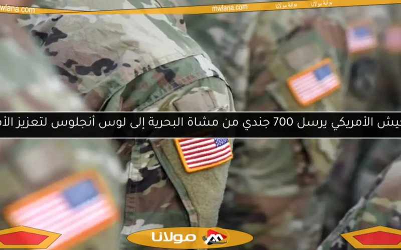 الجيش الأمريكي يرسل 700 جندي من مشاة البحرية إلى لوس أنجلوس لتعزيز الأمن