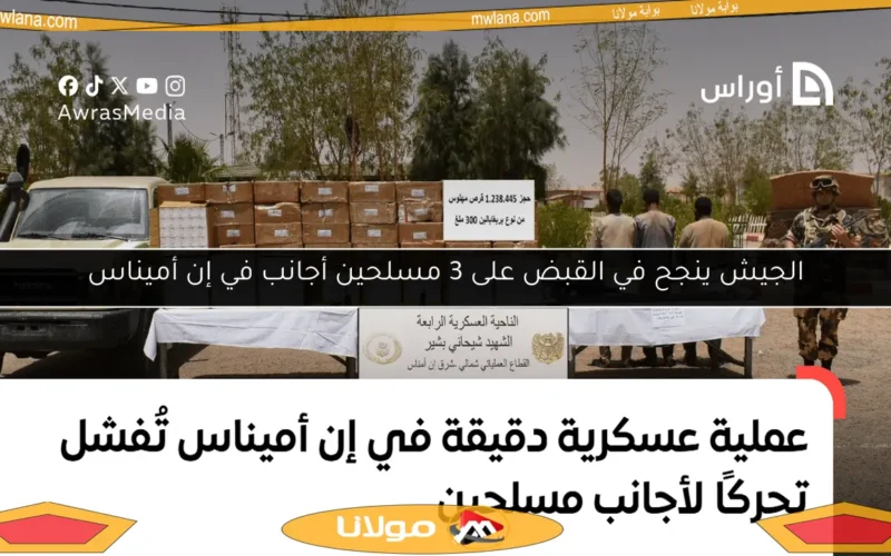 الجيش ينجح في القبض على 3 مسلحين أجانب في إن أميناس