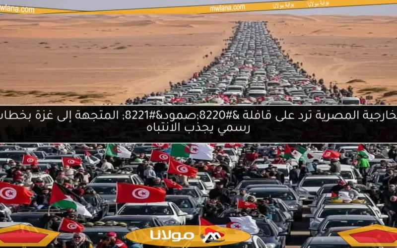 الخارجية المصرية ترد على قافلة “صمود” المتجهة إلى غزة بخطاب رسمي يجذب الانتباه