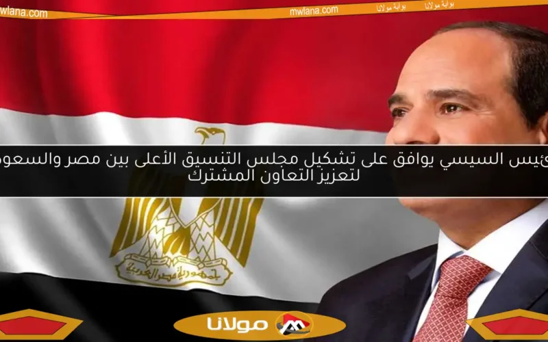 الرئيس السيسي يوافق على تشكيل مجلس التنسيق الأعلى بين مصر والسعودية لتعزيز التعاون المشترك