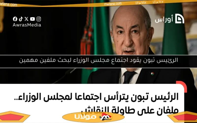 الرئيس تبون يقود اجتماع مجلس الوزراء لبحث ملفين مهمين
